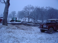  early, dark, cold, snowing, and a windblown beech to clear up on a local estate